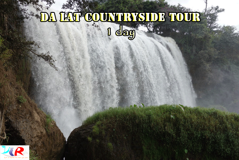 Dalat  Easy rider  countryside Tour