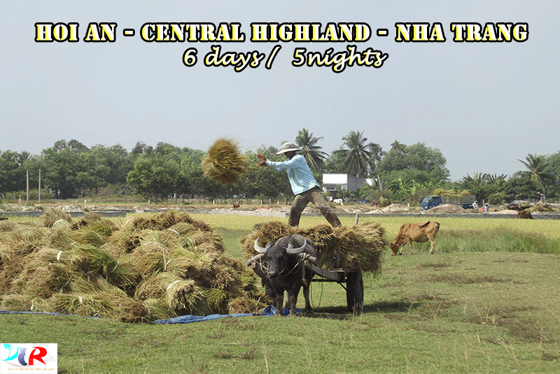 easy-rider-tour-from-hoi-an-to-central-highland-to-nha-trang-in-6-days