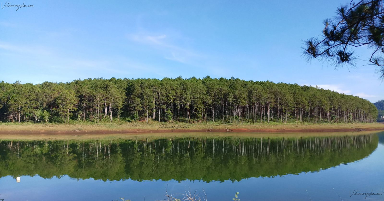 green-pine-forest-Tuyen-lam-lake-dalat